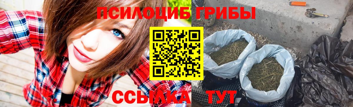 Пугачёв  Псилоцибиновые грибы мухоморы  Вход с VPN  Галлюциногенные грибы Magic Shrooms 