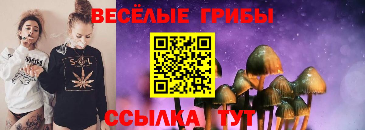 Галлюциногенные грибы Psilocybine cubensis Пугачёв