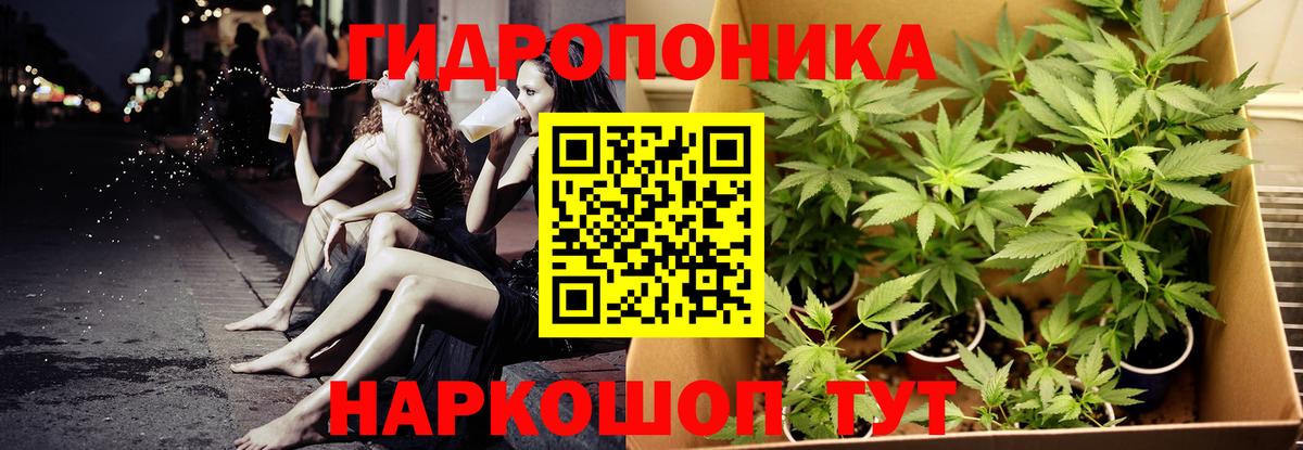Пугачёв  Бошки Шишки OG Kush  Вход с VPN  Шишки марихуана конопля  МАРИХУАНА гибрид 